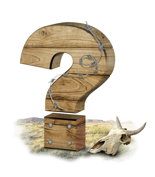 Fence FAQs in Richmond Texas